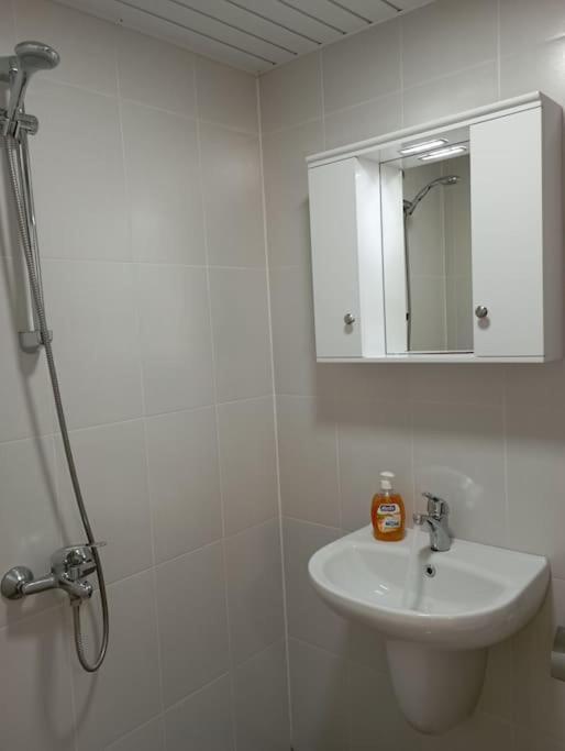 Gradina Apartment Montana Esterno foto